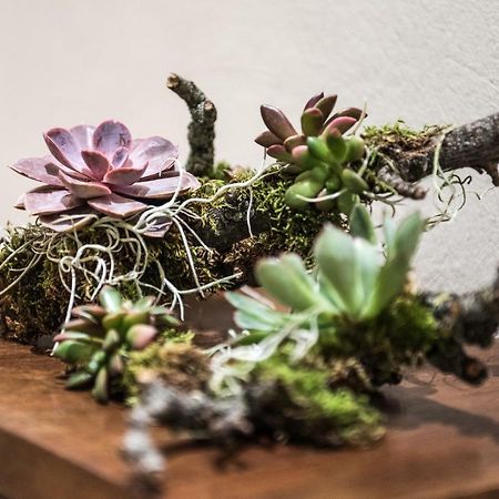 Pokoj studio  Verona Exteriér fotografie